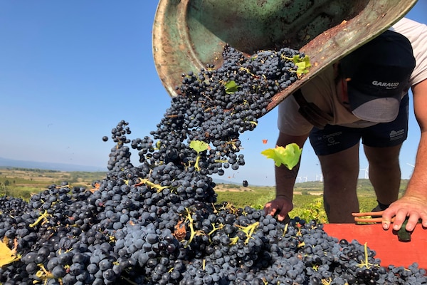 Foto van Wijngaard Villa Bliss - Vakantiehuis in Montbrun-des-Corbières - TerraceBalcony