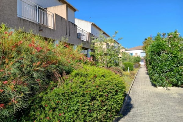 Foto van Appartement op Corsica met zwembad voor 4 personen - ExteriorSummer