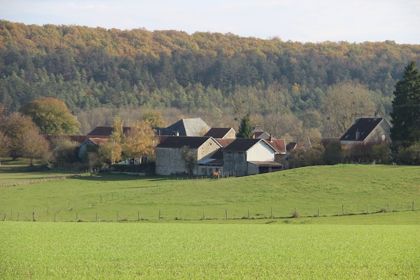 Foto van Villa met spa en zwembad - Vakantiehuis in Villiers-Les-Moines - AreaSummer1KM