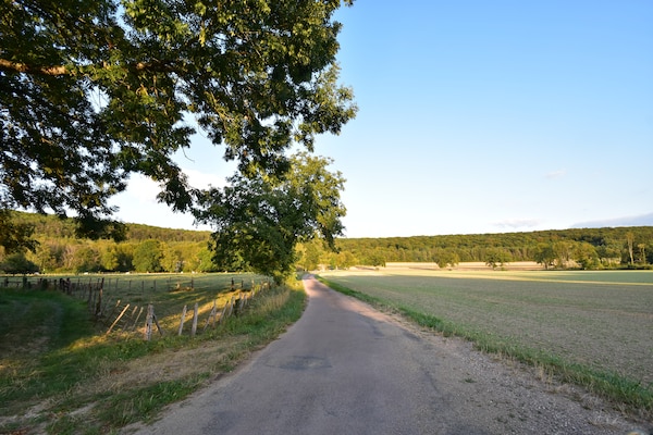 Foto van Villa met spa en zwembad - Vakantiehuis in Villiers-Les-Moines - AreaSummer1KM