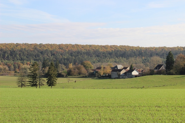 Foto van Villa met spa en zwembad - Vakantiehuis in Villiers-Les-Moines - AreaSummer5KM