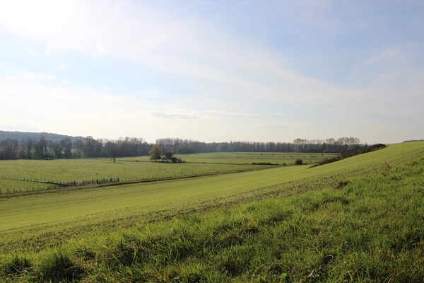 Foto van Villa met spa en zwembad - Vakantiehuis in Villiers-Les-Moines - AreaSummer20KM