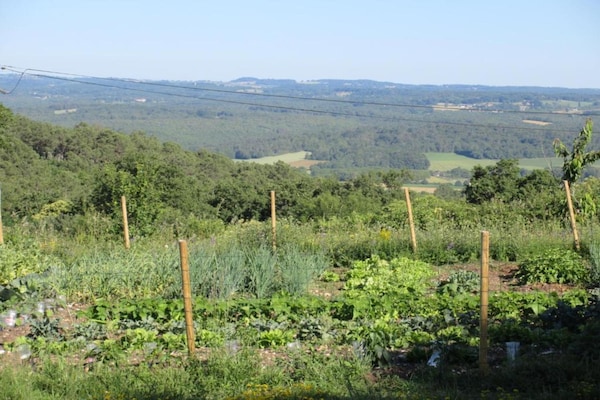 Foto van Verblijf op Domaine Saint-Médard - Vakantiehuis in St. Medard D'excideuil - AreaSummer20KM