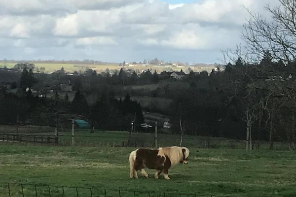 Foto van Verblijf op Domaine Saint-Médard - Vakantiehuis in St. Medard D'excideuil - AreaSummer20KM