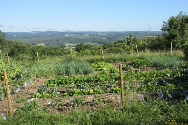 Foto van Verblijf op Domaine Saint-Médard - Vakantiehuis in St. Medard D'excideuil - AreaSummer20KM