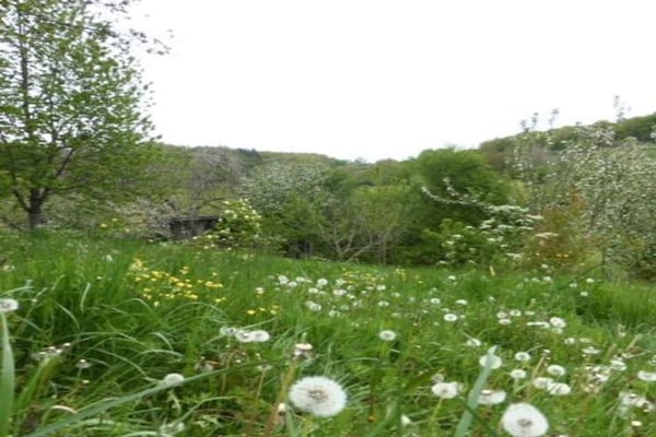 Foto van Verblijf op Domaine Saint-Médard - Vakantiehuis in St. Medard D'excideuil - AreaSummer20KM