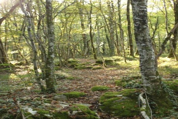 Foto van Verblijf op Domaine Saint-Médard - Vakantiehuis in St. Medard D'excideuil - AreaSummer20KM