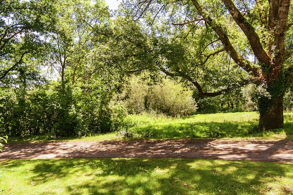 Foto van Herenhuis in Bourgnac met tuin - Vakantiehuis in Bourgnac - GardenSummer