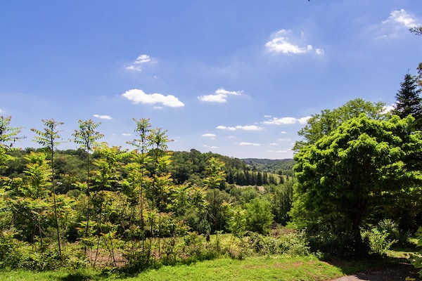 Foto van Herenhuis in Bourgnac met tuin - Vakantiehuis in Bourgnac - ViewSummer