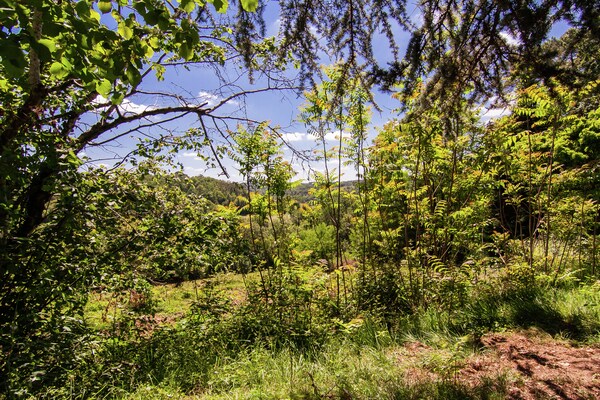 Foto van Herenhuis in Bourgnac met tuin - Vakantiehuis in Bourgnac - AreaSummer1KM