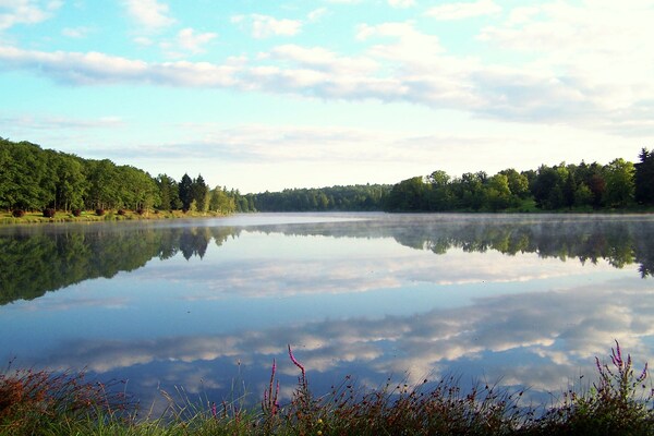 Foto van Heerlijke cottage met zwembad in de heuvels van La Coquille - AreaSummer5KM