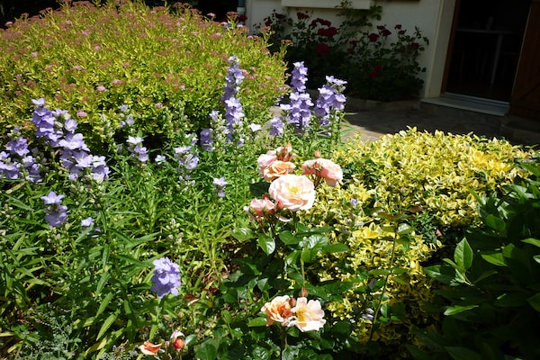 Foto van Heerlijke cottage met zwembad in de heuvels van La Coquille - Ambiance