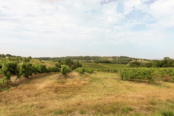 Foto van Villa in Saint-Nexans met verwarmd privézwembad - Vakantiehuis in Saint-Nexans - AreaSummer1KM