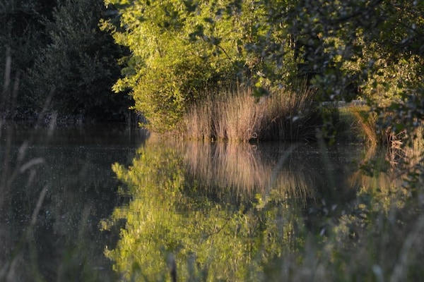 Foto van Loubejac Tuin Ontsnapping - Vakantiehuis in Loubéjac - AreaSummer20KM