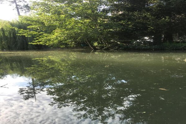 Foto van Loubejac Tuin Ontsnapping - Vakantiehuis in Loubéjac - AreaSummer20KM