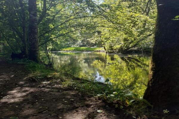 Foto van Loubejac Tuin Ontsnapping - Vakantiehuis in Loubéjac - AreaSummer20KM