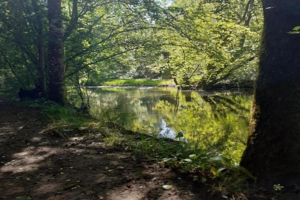 Foto van Rustiek toevluchtsoord voor gezinnen - Vakantiehuis in Loubejac - AreaSummer20KM