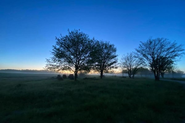 Foto van Rustiek toevluchtsoord voor gezinnen - Vakantiehuis in Loubejac - AreaSummer20KM