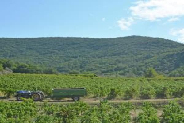 Foto van Villa met vredig uitzicht op de vallei - Vakantiehuis in St. Laurent de Carnols - AreaSummer5KM