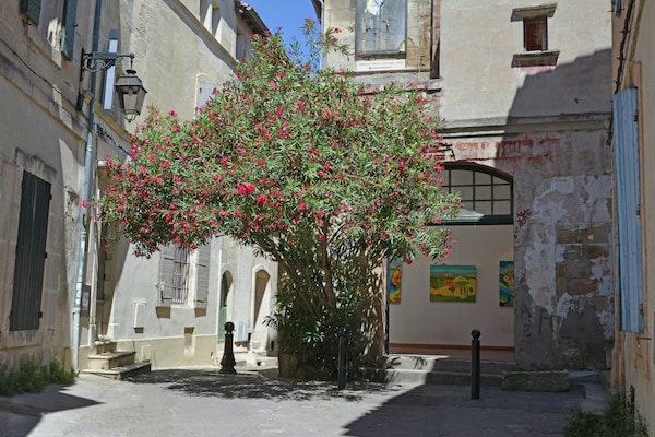 Foto van Elegant herenhuis in de Provence - Vakantiehuis in Beaucaire - AreaSummer20KM
