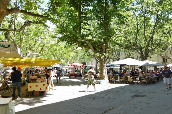 Foto van Vakantiehuis bij Pont du Gard & Wijngaarden - Vakantiehuis in Domazan - AreaSummer20KM