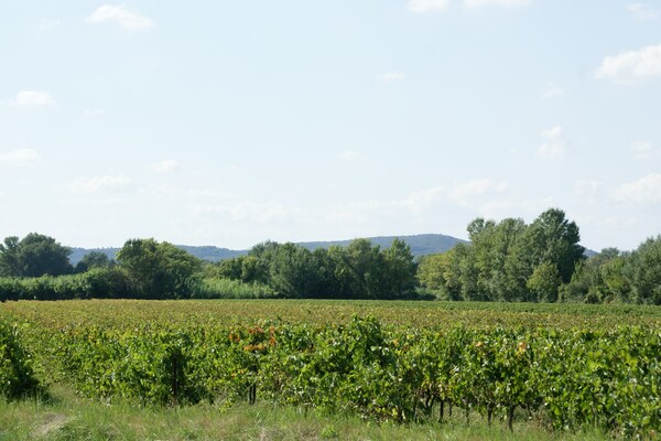 Foto van Wijngaardvilla in Montfrin - Vakantiehuis in Montfrin - AreaSummer5KM