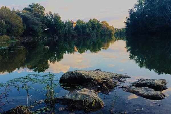 Foto van Wijngaardvilla in Montfrin - Vakantiehuis in Montfrin - AreaSummer20KM