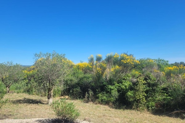 Foto van Vakantiehuis in Félines-Minervois met Zwembad - Vakantiehuis in Félines-Minervois - AreaSummer5KM