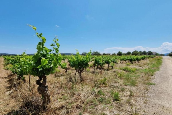 Foto van Vakantiehuis in Félines-Minervois met Zwembad - Vakantiehuis in Félines-Minervois - AreaSummer5KM