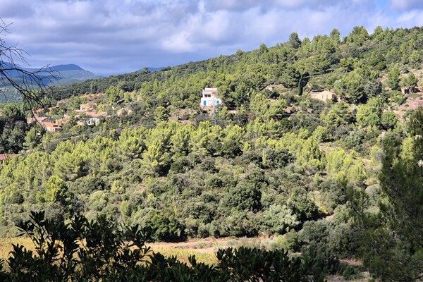 Foto van De garrigue, prachtig huis met zwembad - Vakantiehuis in Pierrerue - AreaSummer5KM
