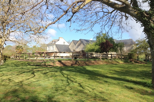 Foto van Schuilplaats aan de rivier in Cinais - Vakantiehuis in Cinais - ExteriorSummer