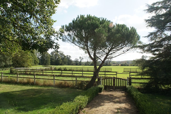 Foto van Schuilplaats aan de rivier in Cinais - Vakantiehuis in Cinais - ViewSummer