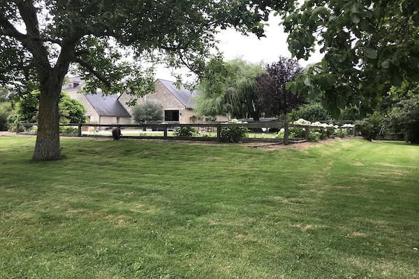 Foto van Schuilplaats aan de rivier in Cinais - Vakantiehuis in Cinais - GardenSummer