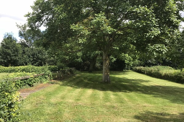 Foto van Schuilplaats aan de rivier in Cinais - Vakantiehuis in Cinais - GardenSummer