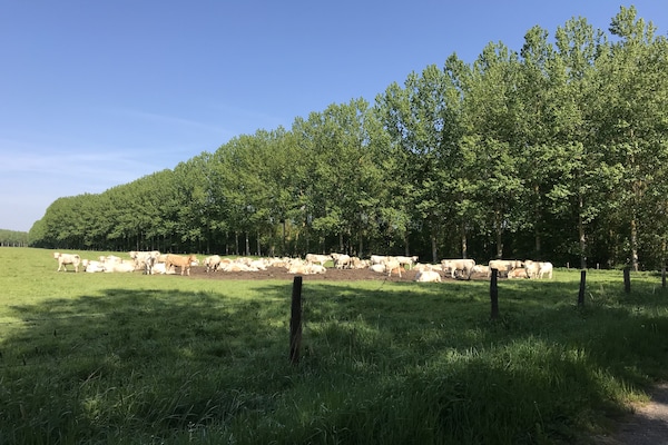 Foto van Schuilplaats aan de rivier in Cinais - Vakantiehuis in Cinais - AreaSummer1KM