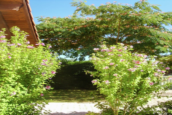 Foto van Vakantiehuis met zwembad - Vakantiehuis in Ste-Eulalie en Born - GardenSummer