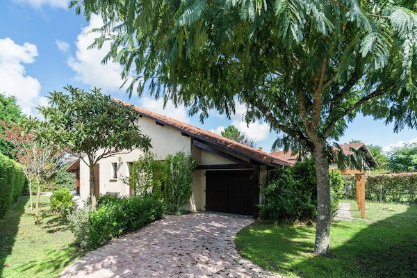 Foto van Vakantiehuis met zwembad - Vakantiehuis in Ste-Eulalie en Born - ExteriorSummer