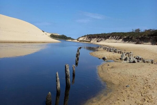 Foto van Privézwembadvilla nabij bos - Vakantiehuis in Moliets - AreaSummer20KM