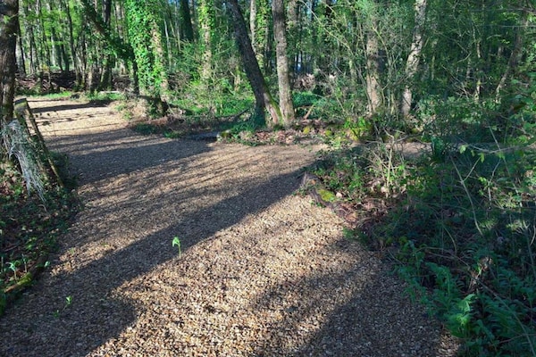 Foto van Luxe villa in Frankrijk met zwembad - Vakantiehuis in Vasles - AreaSummer20KM
