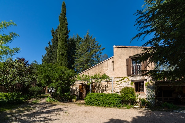 Foto van Provençaals huis in Seillans met zwembad - Vakantiehuis in Seillans - ExteriorSummer