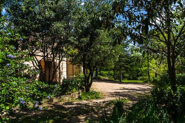 Foto van Provençaals huis in Seillans met zwembad - Vakantiehuis in Seillans - GardenSummer