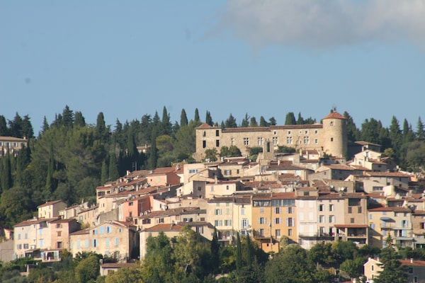 Foto van Vakantiehuis in Fayence met privézwembad - Vakantiehuis in Fayence - AreaSummer5KM