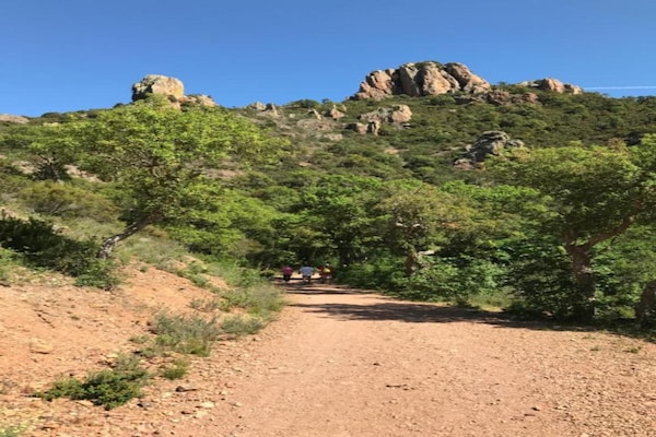 Foto van Vakantiehuis in Fayence met privézwembad - Vakantiehuis in Fayence - AreaSummer20KM