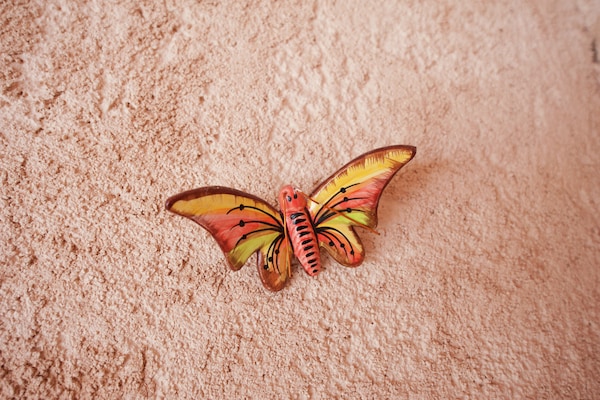 Foto van Villa in Provence met Zwembad en Tuin - Vakantiehuis in Saint Paul en Foret - AreaSummer5KM