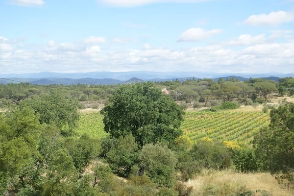 Foto van Villa in Vidauban met Zwembad en BBQ - Vakantiehuis in Vidauban - AreaSummer5KM