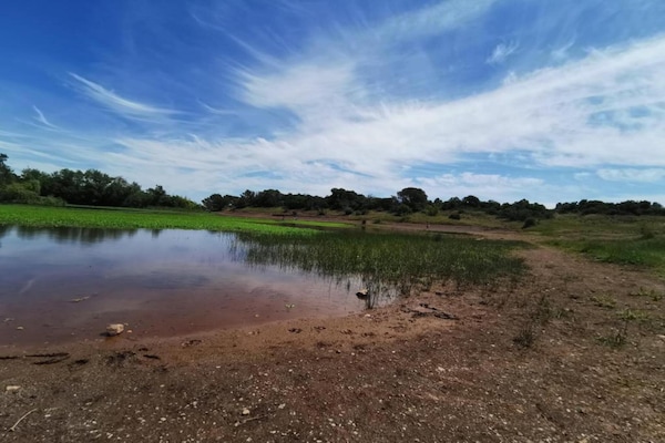 Foto van Villa in Vidauban met Zwembad en BBQ - Vakantiehuis in Vidauban - AreaSummer20KM