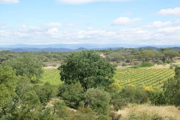 Foto van Villa in Vidauban met Zwembad en BBQ - Vakantiehuis in Vidauban - AreaSummer20KM