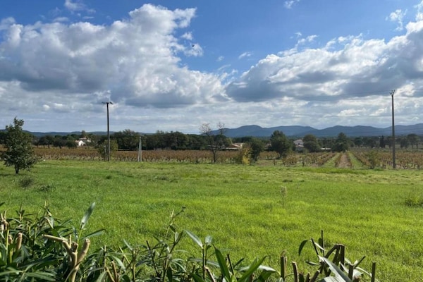 Foto van Villa in Vidauban met Zwembad en BBQ - Vakantiehuis in Vidauban - AreaSummer20KM
