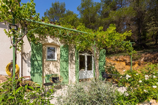Foto van Voormalige schaapskooi met zwembad in Cotignac - Vakantiehuis in Cotignac - ExteriorSummer