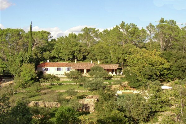 Foto van Vakantiehuis in Carcès met zwembad & wijngaarden - Vakantiehuis in Carcès - ExteriorSummer
